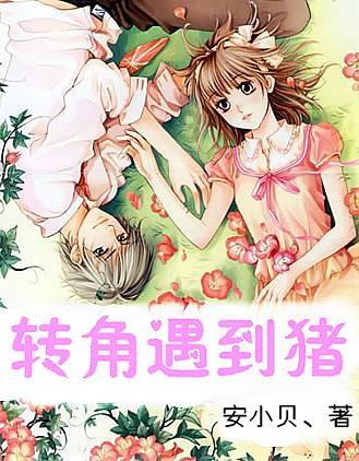无双大蛇3